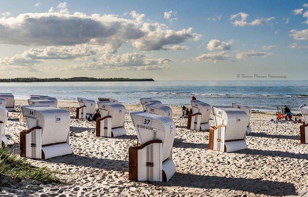 Hébergement de vacances Ferienbungalow Oase *