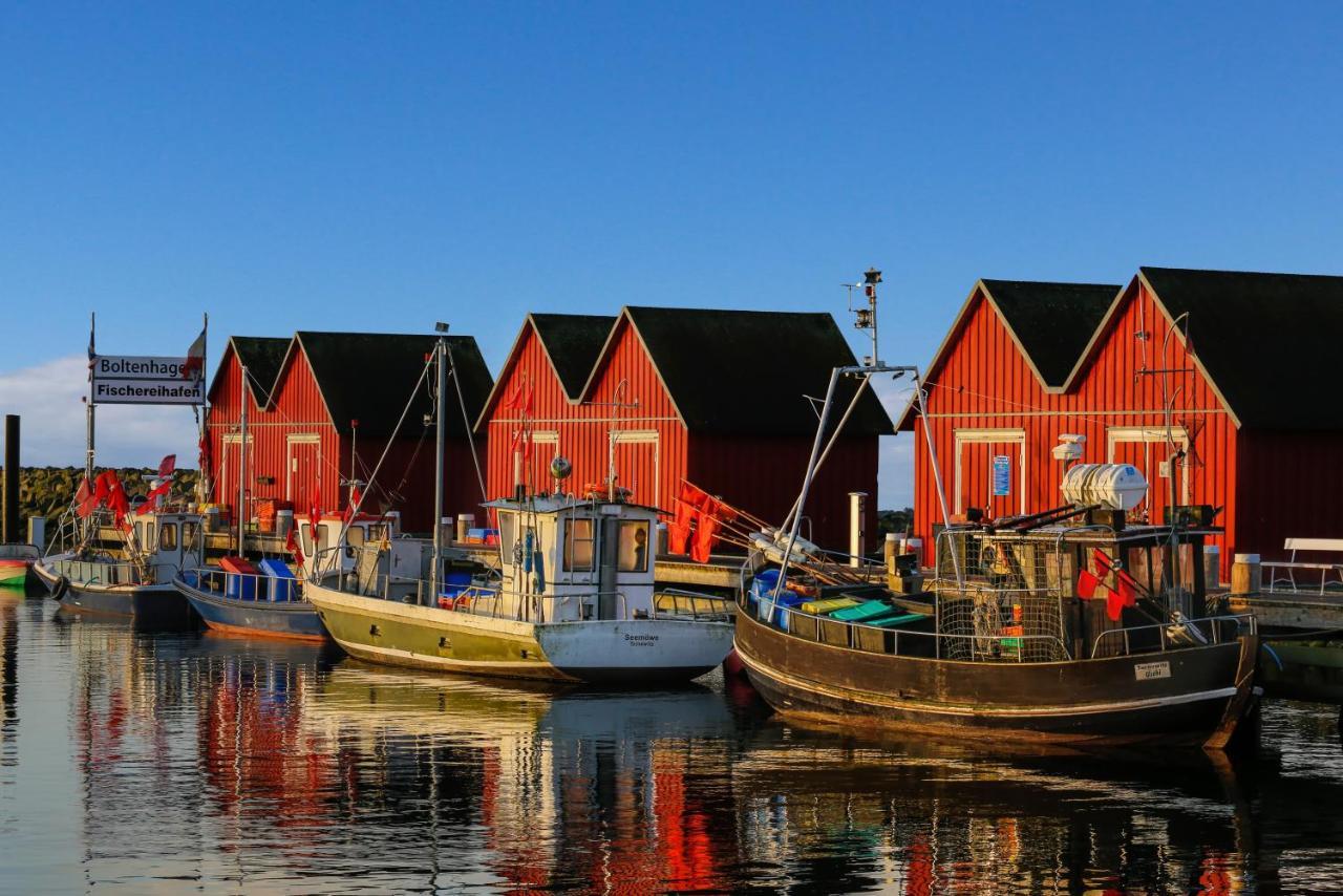 Ferienbungalow Oase Hébergement de vacances